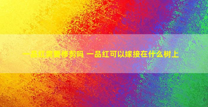 一品红需要修剪吗 一品红可以嫁接在什么树上